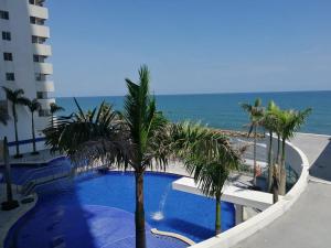 palmetto frente al mar