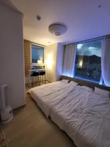 Perfect for you, easy to get from Line 1 and 4 - 安山市