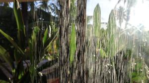 Sleepy Gypsea Villa Siargao - Suite Vibe