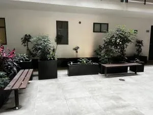 Departamento moderno - 墨西哥城