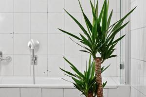 Apartments am Hainich - 6 Personen, King-Size-Betten, Netflix, Nationalpark