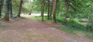 B&B / Chambres d'hotes Beeeel campagne - Studio nature entoure de chevres : photos des chambres