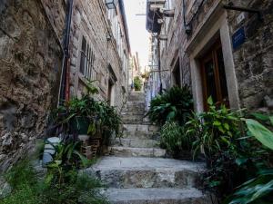 Apartments Minerva - One Bedroom Apartment A1