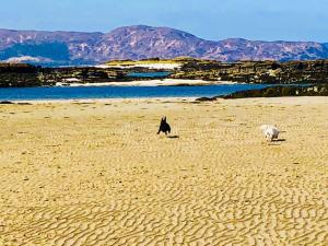 The Anchorage, right on the Skye shore