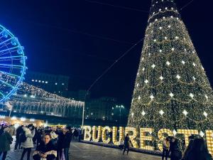 Beautiful 2BedFlatCismigiu