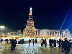 Beautiful 2BedFlatCismigiu