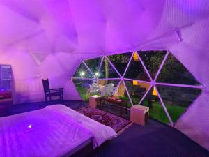 North Cliff by Stay Pattern