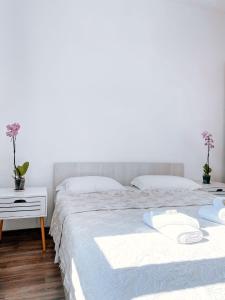 Mountain View Apartment