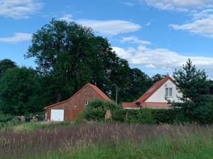 Storchenwiese Wald Meer Natur