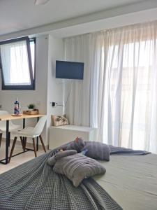 Palmet Suite Isabel by Best Holidays Fuerteventura