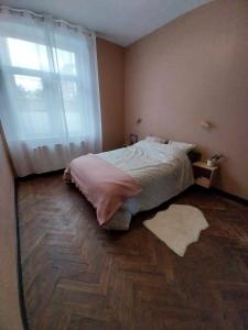 Appartements Au Coeur de LilleMoulins : photos des chambres