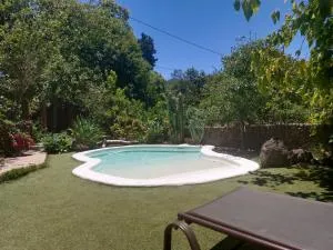 Los Matos, Canarian house in Valleseco - Valleseco