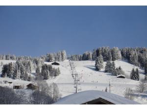 Chalets Chalet de la Marmotte : photos des chambres
