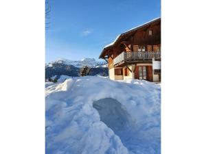 Chalets Chalet de la Marmotte : photos des chambres