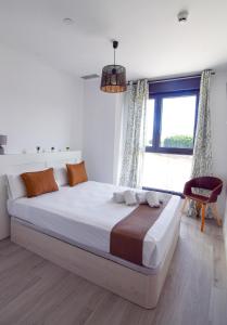 Letplanet Martiricos