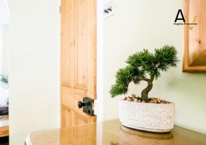 Northampton Two Bed House - Free Parking - Fast Wi Fi - Garden by AV Hughes Properties