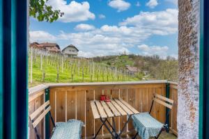 Vineyard Cottage Verček - Happy Rentals 