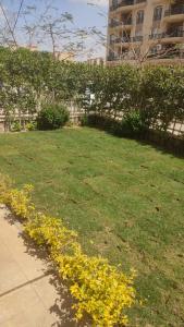 Studio at Rehab City