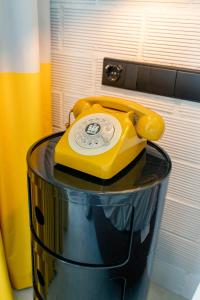 Ryans Lolas - Adults Only