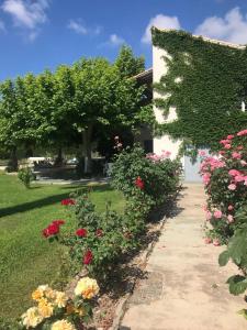 Villas Grande Villa Provencale avec Piscine Privee a Gemenos : photos des chambres