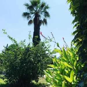 Villas Grande Villa Provencale avec Piscine Privee a Gemenos : photos des chambres