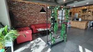 Hotel Picaro Kopytkowo A1