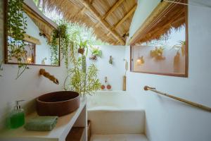 ALOE Ecological Beach & Jungle Villas