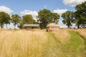 Ash Yurt - Chiddingstone