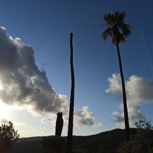 Borgo Ingurtosu img61