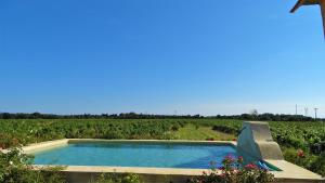 Maisons de vacances Gite au coeur du vignoble des Saumanes : Maison 2 Chambres