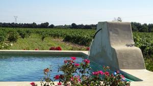 Maisons de vacances Gite au coeur du vignoble des Saumanes : photos des chambres