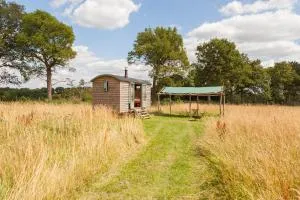 Daisy Shepherds Hut - Chiddingstone