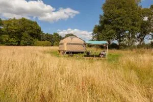 Oak Yurt - Chiddingstone