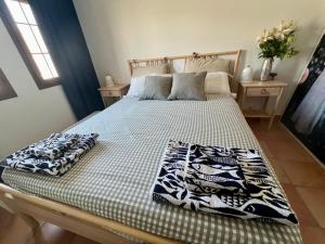 Luxury penthouse Apartment