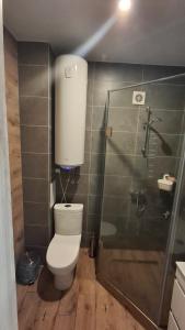 Апартаменти у Сонячному Закарпатті