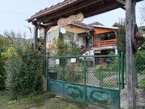 STD Verice Đorđević