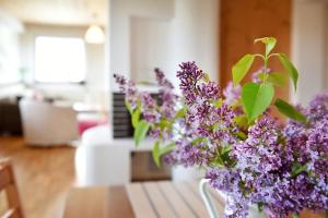 Priestranný, svetlý apartmán