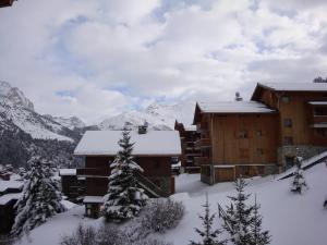 Appartement familial à Méribel, proche des pistes, balcon et casier à skis - FR-1-355-37