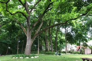 Large, Comfortable & Conveniently located Home - 比弗利