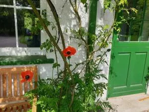 Das grüne Haus allein für Dich! - 布尔沙伊德