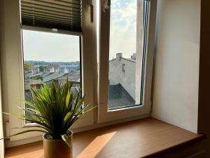 Małe mieszkanko w centrum 22