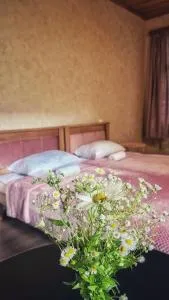 guest house zizi - Tsesi