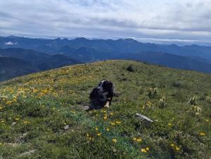 Gîte de ferme équestre