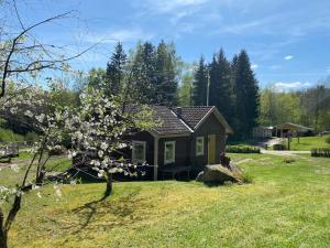 Upptäck skogens skatt i Hökensås!