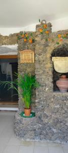 Casa Cueva Rural Trébola, Artenara