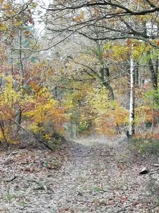 Manor Holding Cottage 3 Star, Grade II Listed - Highley