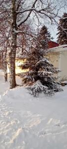 Huone Seesteisessä Mummolassa