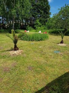 Appartements 10 - Joli studio avec clim, deux lits, logement tout equipe pour 1, 2 ou 3 personnes maximum, vue sur parc arbore, parking privatif gratuit, grand fourgon possible, tout le linge de maison est fourni : photos des chambres