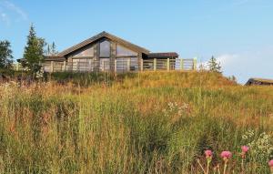 Gorgeous Home In Aurdal With Wifi