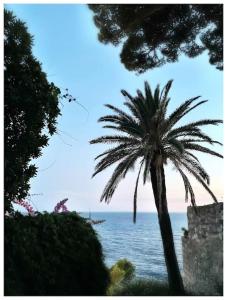 Boni a World of Magic